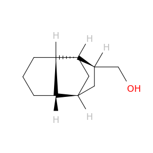 酸橙31.