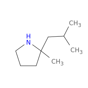2-methyl-2-(2-methylpropyl)pyrrolidine