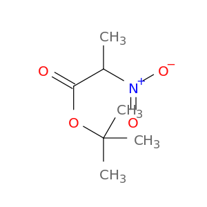 Propanoic acid, 2-nitro-, 1,1-dimethylethyl ester