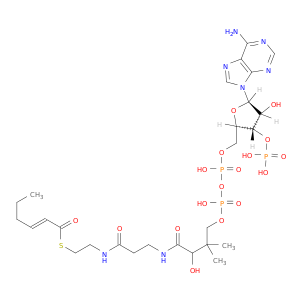 Trans-2-己酰基COA