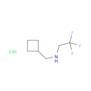 (cyclobutylmethyl)(2,2,2-trifluoroethyl)amine hydrochloride
