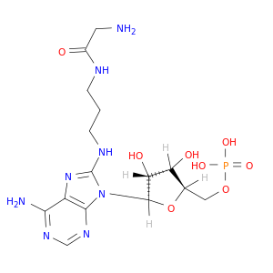 5'-Adenylic acid, 8-[[3-[(aminoacetyl)amino]propyl]amino]-