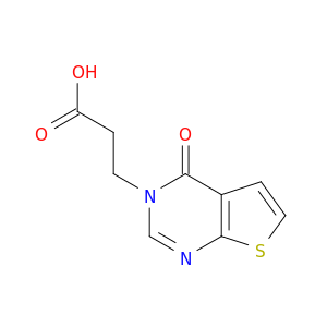 3-{4-oxo-3H,4H-thieno[2,3-d]pyrimidin-3-yl}propanoic Acid