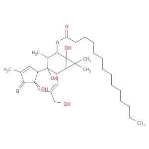 Phorbol12-Myristate