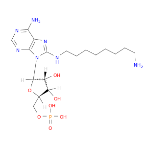 5'-Adenylic acid, 8-[(8-aminooctyl)amino]-