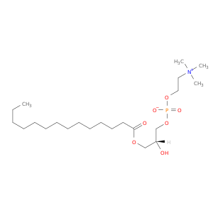 1-肉豆蔻-SN-甘油-3-磷酸胆碱
