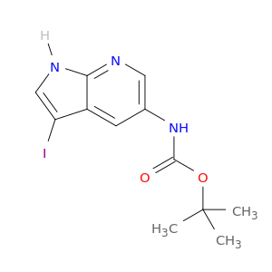 3-碘-1H-吡咯并[2,3-b] 吡啶基-5-基氨基甲酸叔丁酯