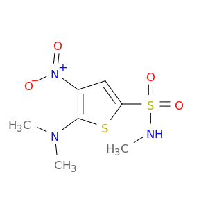 2-Thiophenesulfonamide, 5-(dimethylamino)-N-methyl-4-nitro-