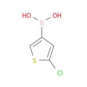 (5-氯噻吩-3-基)硼酸