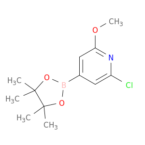 2-氯-6-甲氧基吡啶-4-硼酸频那醇酯