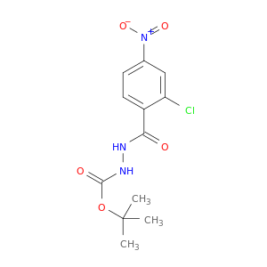 肼羧酸,2-(2-氯-4-硝基苯甲酰基)-,1,1-二甲基乙烯酯
