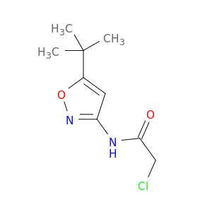 N-(5-(叔丁基)异恶唑-3-基)-2-氯乙酰胺