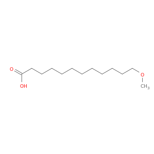 12-METHOXYDODECANOIC ACID