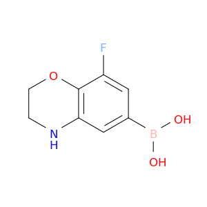 8-Fluoro-2,3-dihydro-1,4-benzoxazine-6-boronic acid