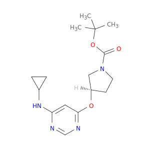 (R)-3-(6-环丙基氨基-嘧啶-4-基氧基)-吡咯烷-1-羧酸叔丁基酯