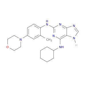 N6-环己基-N2-(2-甲基-4-吗啉苯基)-9H-嘌呤-2,6-二胺
