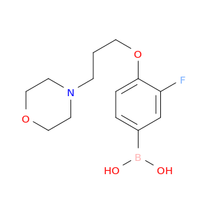 3-氟-4-(3-吗啉代丙氧基)苯硼酸
