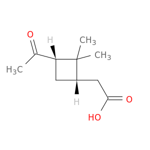 cis-DL-Pinonic acid