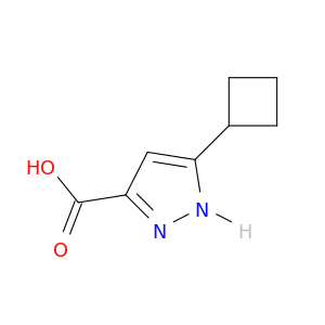 5-Cyclobutyl-1H-pyrazole-3-carboxylic acid