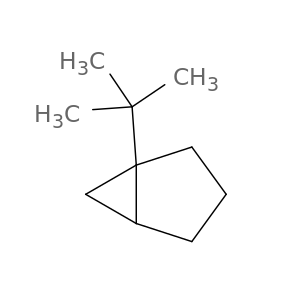 Bicyclo[3.1.0]hexane, 1-(1,1-dimethylethyl)-