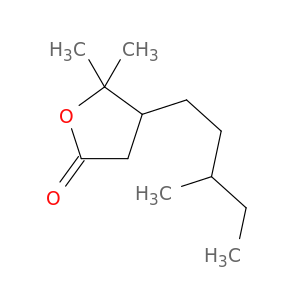 2(3H)-Furanone, dihydro-5,5-dimethyl-4-(3-methylpentyl)-
