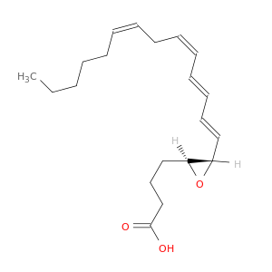白酮A4