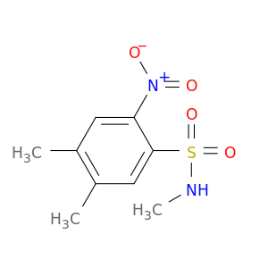 Benzenesulfonamide, N,4,5-trimethyl-2-nitro-