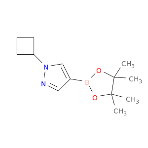 N-环丁基吡唑-4-硼酸频哪醇酯