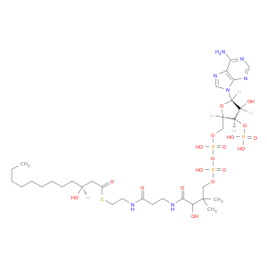 辅酶A,S-(3-羟基二癸酸)