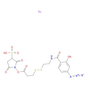 磺酸基-N -琥珀酰亚胺酯-3 -[[2- (P-水杨酰胺)乙基] -1,3'-二硫代]丙酸