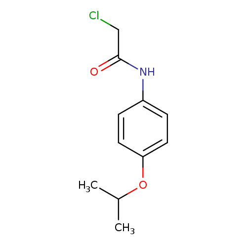 2-Chloro-N-(4-isopropoxyphenyl)acetamide