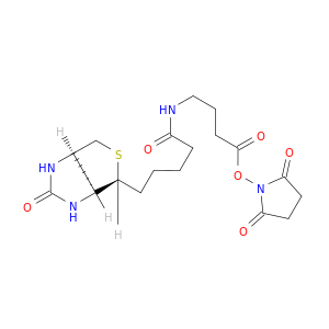 (3AS,4S,6AR)-N-[4-[(2,5-二氧代-1-吡咯烷基)氧基]-4-氧代丁基]六氢-2-氧代-1H-噻吩并[3,4-D]咪唑-4-戊酰胺