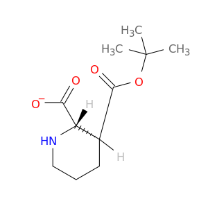 3-(1,1-二甲基乙基)(2S,3S)-2,3-哌啶二羧酸盐