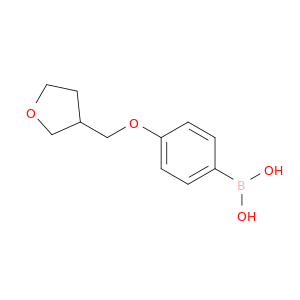 {4-[(噁戊环-3-基)甲氧基]苯基}硼酸