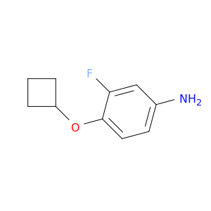 4-环丁氧基-3-氟苯胺