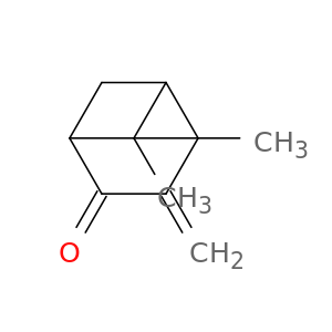Bicyclo[3.1.1]heptan-2-one, 6,6-dimethyl-3-methylene-