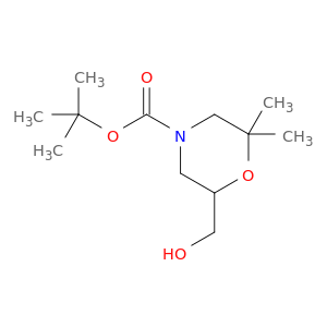 6-(羟甲基)-2,2-二甲基吗啉-4-羧酸叔丁酯