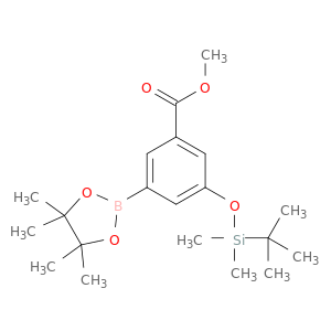 3-((叔丁基二甲基硅烷基)氧基)-5-(4,4,5,5-四甲基-1,3,2-二氧硼杂环戊烷-2-基)苯甲酸甲酯