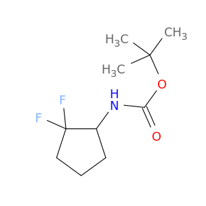 1,1-二甲基乙基N-(2,2-二氟环戊基)氨基甲酸酯