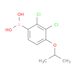 2,3-Dichloro-4-isopropoxyphenylboronic acid