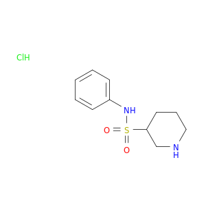N-Phenylpiperidine-3-sulfonamide hydrochloride