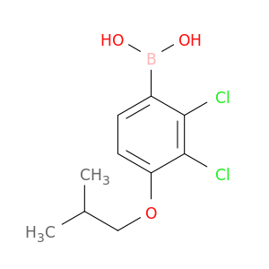 2,3-Dichloro-4-isobutoxyphenylboronic acid