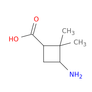3-氨基-2,2-二甲基环丁基甲酸