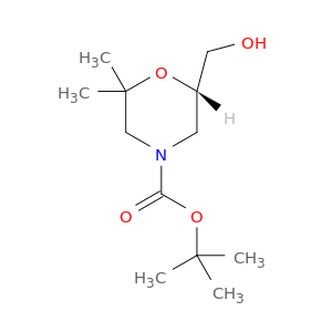 (S)-6-(羟甲基)-2,2-二甲基吗啉-4-羧酸叔丁酯