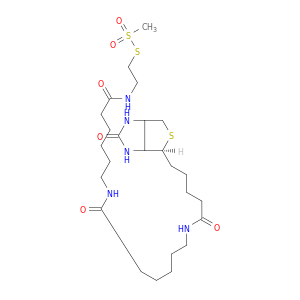 N-[6-(2-甲基磺酰基硫基乙基氨基)-6-氧代己基]-6-[5-[(4S)-2-氧代-1,3,3A,4,6,6A-六氢噻吩并[3,4-D]咪唑-4-基]戊酰氨基]己酰胺