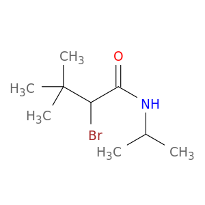 N1-异丙基-2-溴-3,3-二甲基丁胺