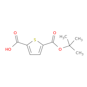 2,5-Thiophenedicarboxylic acid, mono(1,1-dimethylethyl) ester