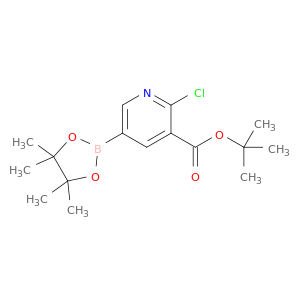 2-氯-5-(4,4,5,5-四甲基-1,3,2-二氧硼烷-2-基)烟酸叔丁酯