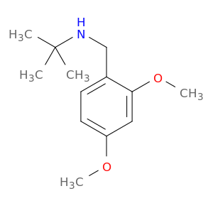 tert-butyl[(2,4-dimethoxyphenyl)methyl]amine