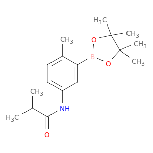 2-甲基-5-异丁酰胺基苯硼酸频那醇酯